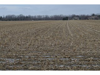 Property photo 7 - 173 +/- Acres Offered in 3 Tracts - Ohio Farmland